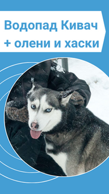 Экскурсия на водопад Кивач + Питомник сибирских хаски и северных оленей | Из Петрозаводска